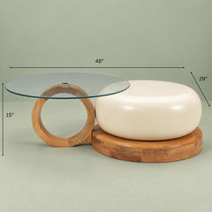 Amiya Glass and Metal Nesting Centre Tables - Centre Tables - Gharaana