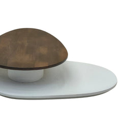Swivel Rotating 2-Tier Solid Wood Centre Table - Centre Tables - Gharaana