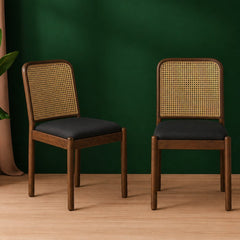 Lara S/2 Dining Chairs - Dining Chairs - Gharaana